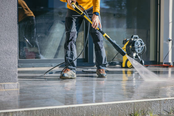 Best Roof Washing  in Virginia, MN