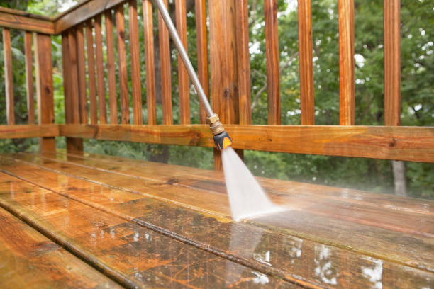 Best Solar Panel Cleaning  in Virginia, MN